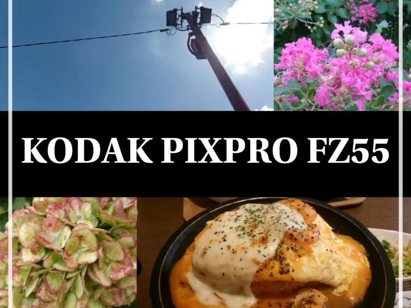 【平成レトロ？】Kodak PIXPRO FZ55【コンデジ】